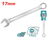Combination Spanner (17mm) - TCSPA171